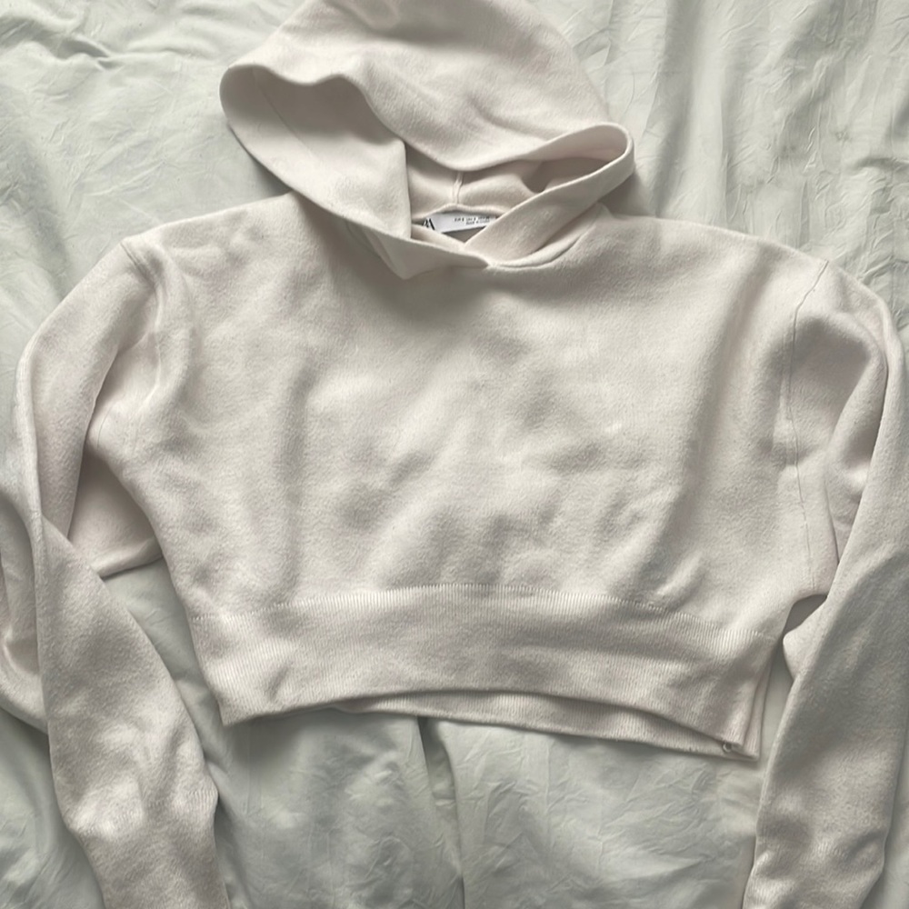ZARA Cropped Hoodie
